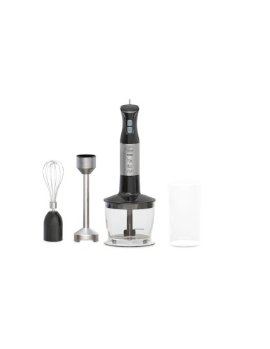 TECHLIFE TLCU115FI MIXER IN ACCIAIOCON FRUSTE E ACCESSORIO TRITATUTTO